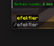 Efektler